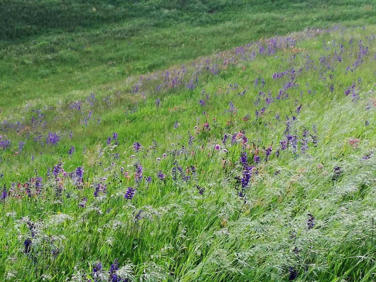 Il Sanco Selva di Progno Exterior foto