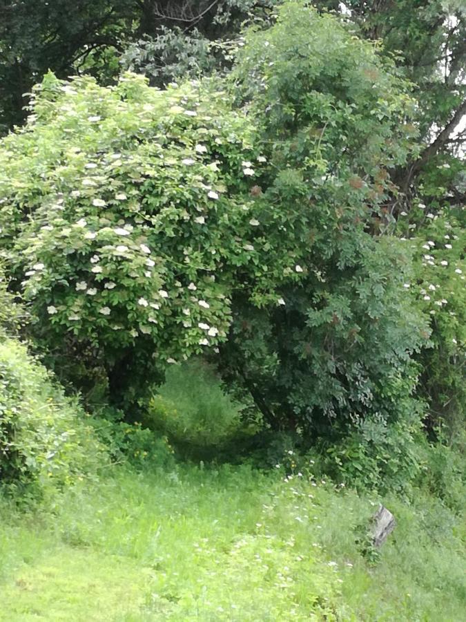 Il Sanco Selva di Progno Exterior foto