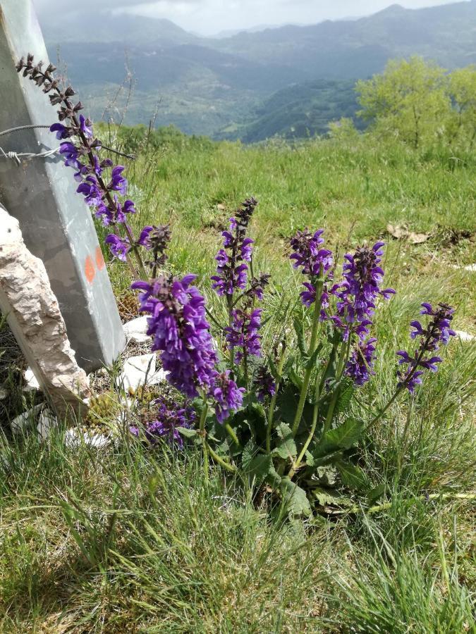 Il Sanco Selva di Progno Exterior foto