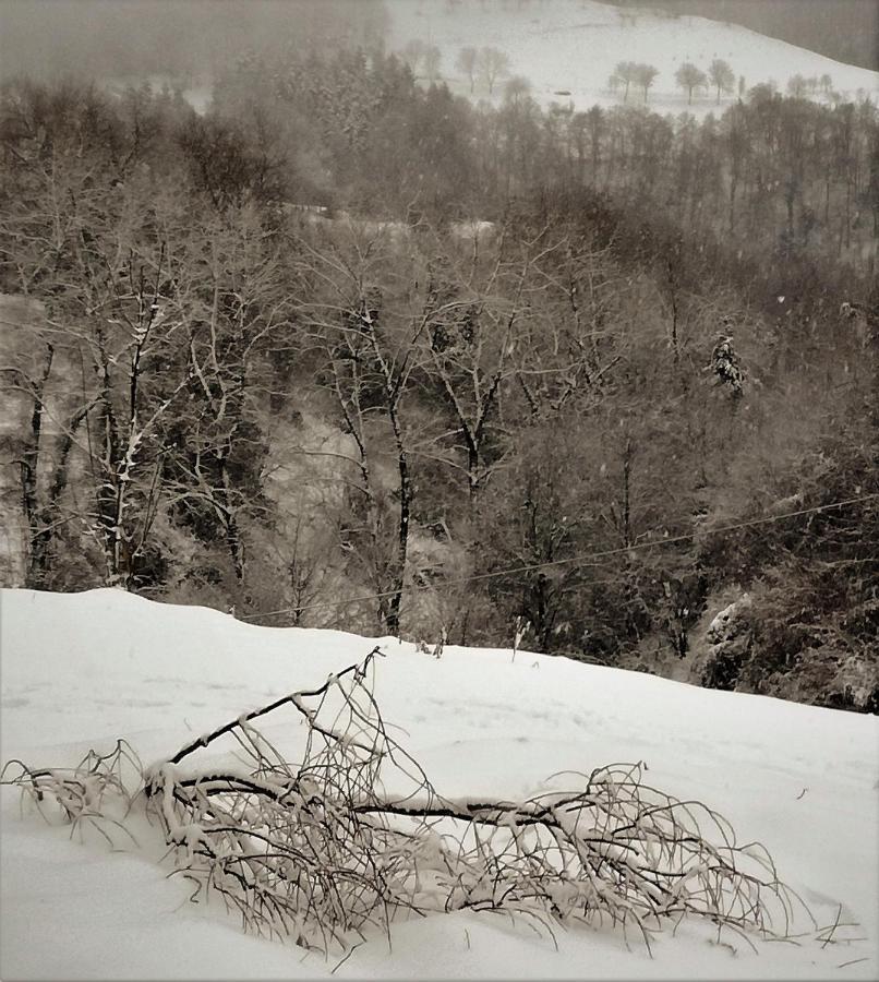 Il Sanco Selva di Progno Exterior foto